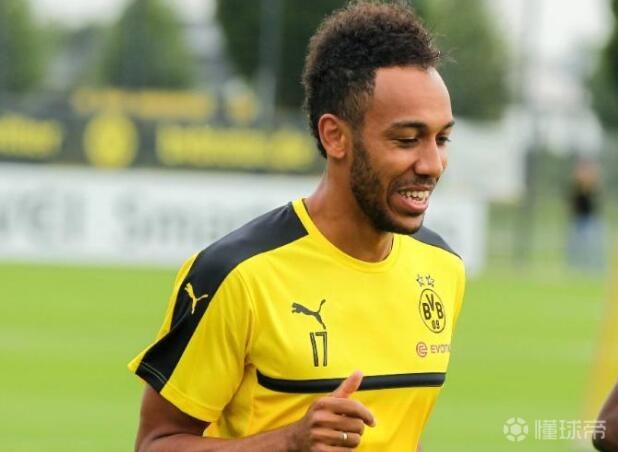 多特蒙德主力队员名单 多特蒙德主力队员名单